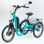 2021 04 13 annonce gratuite obernai vend tricycle