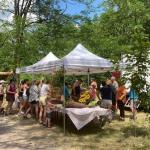 2025 06 15 randonnee gourmande a ottrott