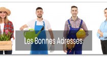 Les bonnes adresses locales