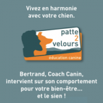 Patte2velours